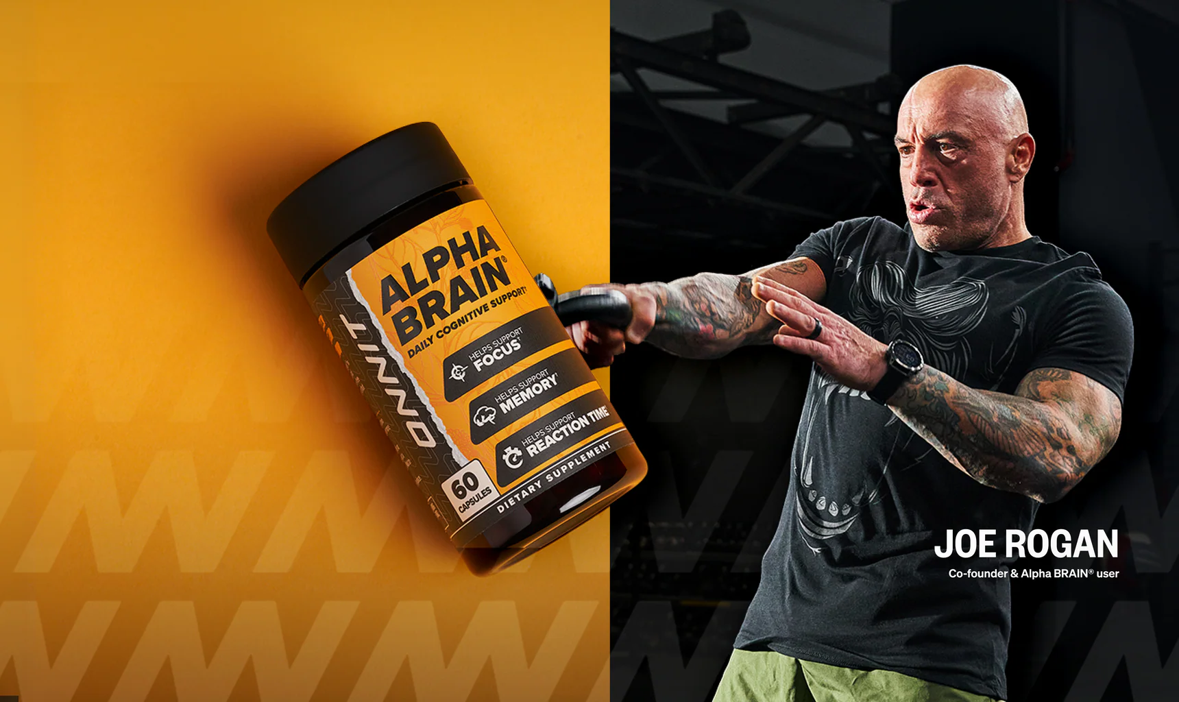 Elevate Your Cognitive Performance